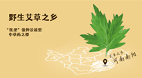 艾草越嫩越好，還是越久越好？悄悄告訴你：艾草這樣用，效果最好！