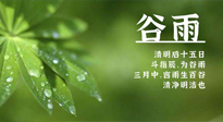 【二十四節(jié)氣灸】谷雨時節(jié)，用艾為您的健康加上一道保險！