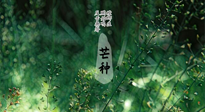 【二十四節(jié)氣灸】芒種節(jié)氣，培土補(bǔ)脾、養(yǎng)陰生津！艾灸這些穴位事半功倍！