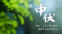 【三伏養(yǎng)生】至熱中伏，吃三樣，喝三樣，三大禁忌千萬別犯，小心落下病根！
