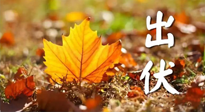 【三伏養(yǎng)生】出伏后做好養(yǎng)生很關(guān)鍵！一行要注意！