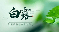 【二十四節(jié)氣灸】白露涼爽，養(yǎng)心肝脾胃、滋陰潤肺是關鍵！
