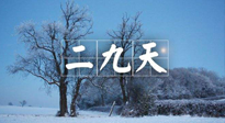【三九養(yǎng)生】冬二九，扶陽補腎氣，讓你陽氣充足一整年！