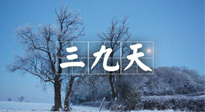 【三九養(yǎng)生】冬三九，三九第三灸，一年中最后艾灸黃金9天！