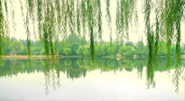 【養(yǎng)生知識】已入五九，六九將至，五九的養(yǎng)生秘訣，你知道嗎？