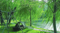 【養(yǎng)生知識】元宵入六九，春季已至，六九天的養(yǎng)生知識你知道多少？