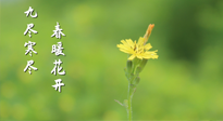 【九九養(yǎng)生】三月四日“九九日”，寒冬已過。春天養(yǎng)好身，全年不怕??！