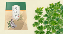 【行業(yè)資訊】國內(nèi)首部艾草專著《南陽艾》，在南陽新書首發(fā)！