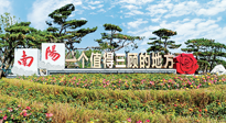 【行業(yè)資訊】南陽一個(gè)值得三顧的地方！“丹江水”“仙草艾”成為 “南陽禮物”新爆款！