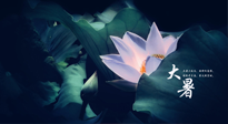 【二十四節(jié)氣灸】趁大暑好好艾灸，才不辜負(fù)三伏天的驕陽！