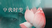 【艾灸三伏天】中伏：三伏灸的關(guān)鍵轉(zhuǎn)折點(diǎn)！“灸”除病根的大好時(shí)機(jī)！