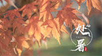 【二十四節(jié)氣灸】處暑，冬病夏治倒計時！秋涼真的要來了！
