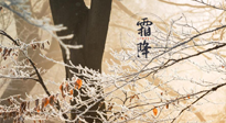 【二十四節(jié)氣灸】霜降節(jié)氣：艾灸四穴，護您冬天安然無恙！