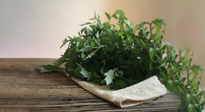 【養(yǎng)生知識】艾草養(yǎng)生三大秘密，可不能不知道！