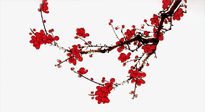【三九養(yǎng)生】即將進入三九天，養(yǎng)生秘訣分享給您！