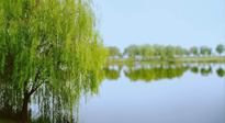 【艾灸知識(shí)】春三月，必艾灸穴位：疏肝理氣，養(yǎng)血調(diào)神！