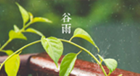 【二十四節(jié)氣灸】谷雨節(jié)氣脾土濕，艾灸降濕濁，脾旺不受邪！