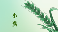【二十四節(jié)氣灸】小滿節(jié)氣記得艾灸，悠悠長夏，健康度過！