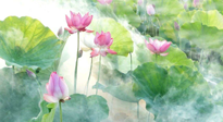 【養(yǎng)生知識】花開半夏，夏至養(yǎng)生，這些知識一定要牢記！