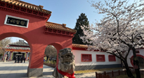 【行業(yè)資訊】新華財經(jīng)：守正創(chuàng)新，中醫(yī)藥品牌化發(fā)展“更上一層樓”！