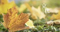 【節(jié)氣養(yǎng)生】甲辰立秋，“2做”、“2不做”，護好我們身體的正氣，預(yù)防外邪的侵襲！