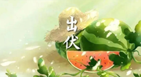 【艾灸三伏天】出伏后記得堅(jiān)持艾灸，伏后固本，做好至關(guān)重要的最后一步！