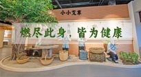 【艾草知識(shí)】小小艾草，渾身是寶，一生燃盡此身，皆為健康！